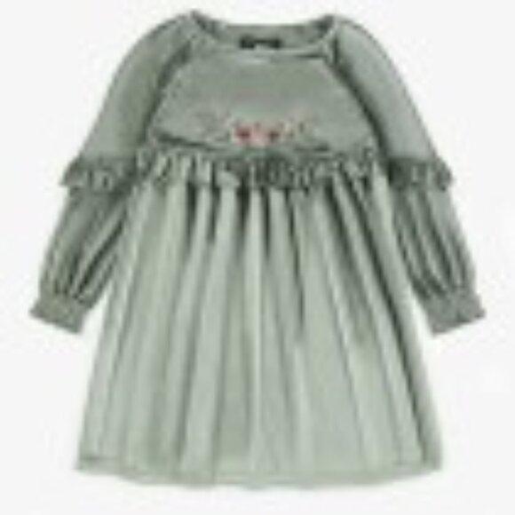 Girl's Crushed Velvet Dress with Embroidered Birds - Picture 1 of 5